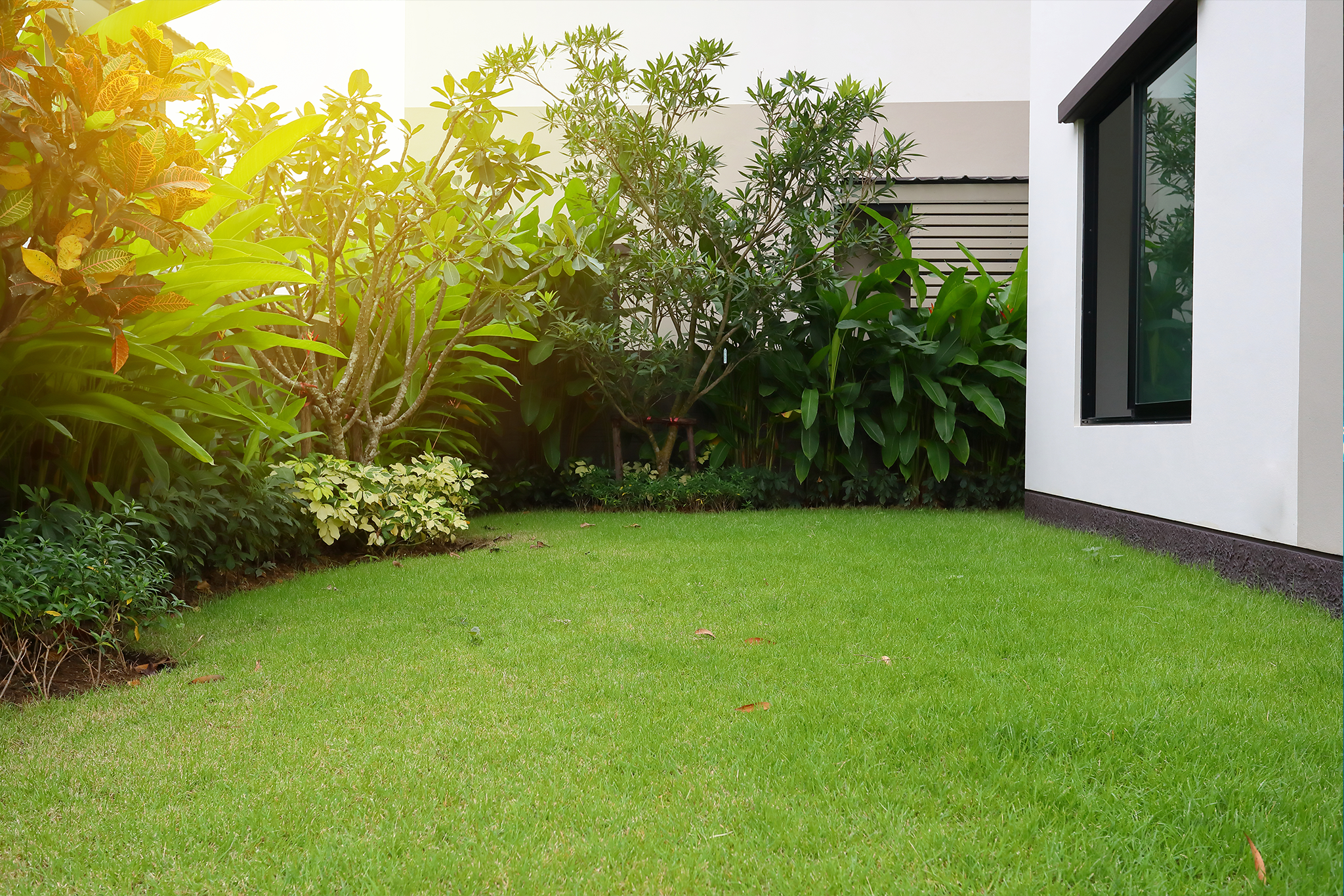 Summer-proof your lawn & garden